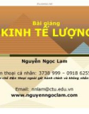 Bài giảng Kinh tế lượng: Giới thiệu môn học - Nguyễn Ngọc Lam