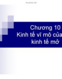 Bài giảng môn Nguyên lý kinh tế vĩ mô: Chương 10 - Lưu Thị Phượng