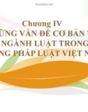 Bài giảng Nhà nước và pháp luật đại cương: Chương 4.1 - Học viện ngân hàng