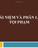 Bài giảng Luật Hình sự: Bài 3 - ThS. Vũ Thị Thúy