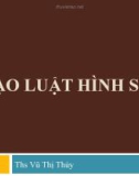 Bài giảng Luật Hình sự: Bài 2 - ThS. Vũ Thị Thúy