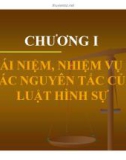 Bài giảng Luật hình sự - Bài 1: Khái niệm, nhiệm vụ và các nguyên tắc của luật hình sự