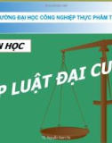 Bài giảng Pháp luật đại cương: Chương 10 - TS. Nguyễn Nam Hà