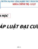 Bài giảng Pháp luật đại cương (General law) - Bài 10: Luật Hình sự - Luật Tố tụng Hình sự