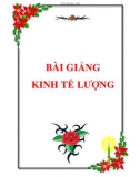 Tập bài giảng Kinh tế lượng