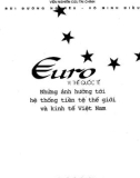 Kinh tế Việt Nam - Euro - Vị thế quốc tế, những ảnh hưởng tới hệ thống tiền tệ thế giới: Phần 1