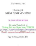 Bài giảng Kinh tế lượng: Chương 6 - ThS. Nguyễn Phương