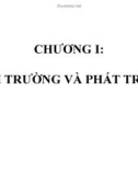 Kinh tế môi trường - Chương I: Môi trường và phát triển