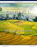 Bài giảng Kinh tế môi trường: Chương 1 - Nguyễn Quang Hồng