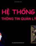 Bài giảng Hệ thống thông tin quản lý - TS. Lưu Kiếm Thanh