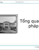 Bài giảng Bài 2: Tổng quan về pháp luật - Phạm Duy Nghĩa