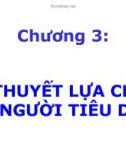 Bài giảng Kinh tế vi mô: Chương 3 - ThS. Trần Thanh Hiền