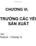 Bài giảng Kinh tế học vi mô: Chương VI - TS. Nguyễn Quỳnh Hoa