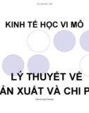 Bài giảng Kinh tế học vi mô: Chương 3 - ThS. Võ Hữu Phước