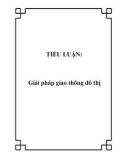 Tiểu luận: Giải pháp giao thông đô thị