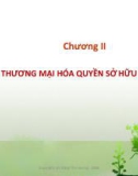 Bài giảng Tổng quan hoạt động thương mại về sở hữu trí tuệ - Chương 2: Thương mại hóa quyền sở hữu trí tuệ