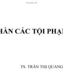 Bài giảng Các tội phạm - TS. Trần Thị Quang Vinh