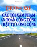 Bài giảng Luật Hình sự Việt Nam: Chương 25 - ThS. Trần Đức Thìn