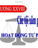 Bài giảng Luật Hình sự Việt Nam: Chương 28 - ThS. Trần Đức Thìn