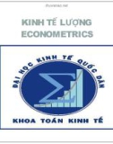 Tổng quan kinh tế lượng