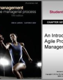 Lecture Project management: The managerial process (5/e): Chapter 17 - Erik W. Larson, Clifford F. Gray