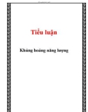 Tiểu luận: Khủng hoảng năng lượng