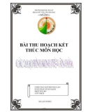 BÀI THU HOẠCH KẾT THÚC MÔN HỌC : các loại hình văn hóa kinh tế