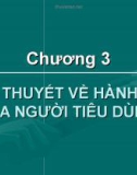 Bài giảng Kinh tế học - Chương 3: Lý thuyết về hành vi người tiêu dùng