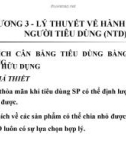 Bài giảng môn Kinh tế vi mô - Chương 3: Lý thuyết về hành vi của người tiêu dùng