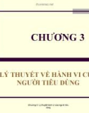 Bài giảng Kinh tế vi mô: Chương 3 - ThS. Võ Thị Thúy Hoa