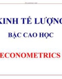 BÀI GIẢNG KINH TẾ LƯỢNG BẬC CAO HỌC