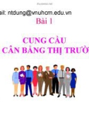 Bài giảng Cung cầu và cân bằng thị trường