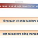 Bài giảng Luật Kinh tế: Chương 3 (tt)