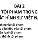 Bài giảng Luật Hình sự Việt Nam - Bài 2: Tội phạm trong Luật Hình sự Việt Nam