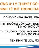 Bài giảng Kinh tế vĩ mô - Chương 3: Lý thuyết cổ điển nền kinh tế mở trong dài hạn (Chương trình Cao học)