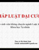 Bài giảng Pháp luật đại cương: Bài 8 - ThS. Hà Minh Ninh