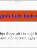 Bài giảng Pháp luật đại cương: Ngành Luật hình sự