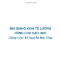 Bài giảng Kinh tế lượng: Chương 1 - TS Nguyễn Duy Thục