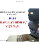 Bài giảng Pháp luật đại cương: Bài 6 - Trường ĐH Văn Lang