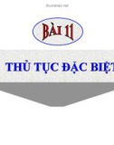 Bài giảng Luật Tố tụng Hình sự: Bài 11 - ThS. Võ Thị Kim Oanh