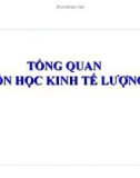 Bài giảng Kinh tế lượng - Tổng quan môn học Kinh tế lượng (2019)