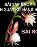 Bài tập nhóm môn xuất xứ hàng hóa - bài số 4