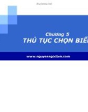 Bài giảng Kinh tế lượng: Chương 5 - Nguyễn Ngọc Lam