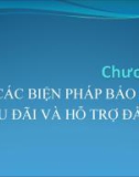 Bài giảng Luật Đầu tư - Chương 2: Các biện pháp bảo đảm, ưu đãi và hỗ trợ đầu tư