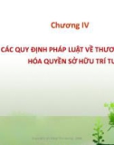 Bài giảng Tổng quan hoạt động thương mại về sở hữu trí tuệ - Chương 4: Các quy định pháp luật về thương mại hóa quyền sở hữu trí tuệ