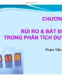 Chương 8: Rủi ro và bất định trong phân tích dự án