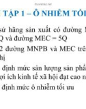 Bài tập Kinh tế môi trường – Ô nhiễm tối ưu