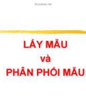 Bài giảng Thống kê và phân tích dữ liệu: Lấy mẫu và phân phối mẫu