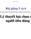 Bài giảng Kinh tế học vi mô dành cho chính sách công: Bài 5 - Lý thuyết lựa chọn của người tiêu dùng (2017)