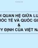 Mối quan hệ giữa luật quốc tế và quốc gia và quy định của Việt Nam